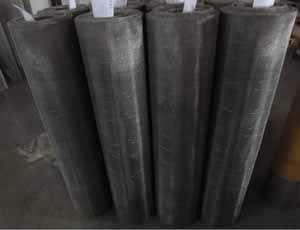 10 Mesh Stainless Steel Cloth