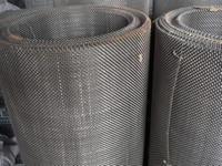 Stainless Steel Crimped Wire Mesh