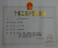 Business License